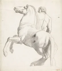 Cavaleiro de Montecavallo