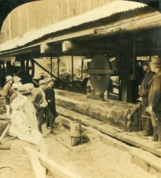 A indústria madeireira, Warburton, Victoria, Austrália, 1909.