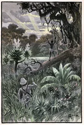Ilustração de George Roux para o livro de Júlio Verne "A Aldeia Aérea" (1901), edição Hetzel/Viagens Extraordinárias, Mundos Conhecidos e Desconhecidos. Vista de uma floresta africana (Congo).