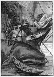 Romance de Júlio Verne «Les histoires de Jean-Marie Cabidoulin» (1901), Colecção Hetzel/Extraordinaires, ilustração de George Roux. «Baleia amarrada a um navio baleeiro»