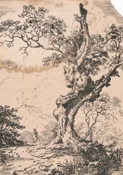 O homem e a grande árvore na paisagem