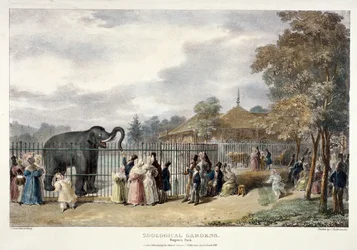 Jardins Zoológicos, Regent