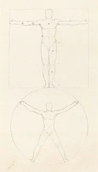 Círculo e Quadrado da Figura Humana