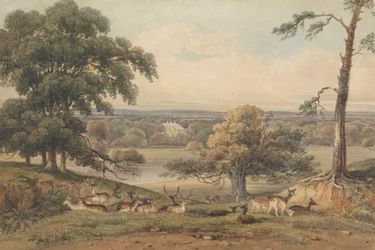 Uma vista distante do Parque de Ampthill