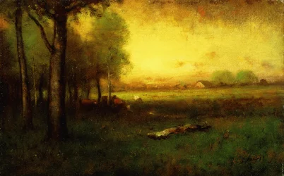 Vacas pastando ao pôr do sol,