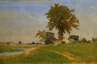 Olmo velho em Medfield, 1860