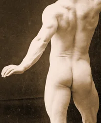 Eugen Sandow, na antiga pose greco-romana antiga, detalhe da foto DGC 1073442 c.1894 bw