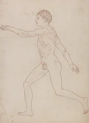 Uma exposição anatómica comparativa da estrutura do corpo humano com a de um tigre e de uma ave comum: Figura Humana, Vista Lateral (Esboço de Estudo no Verso da Tabela VIII)