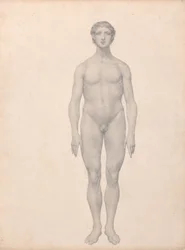 Uma exposição anatómica comparativa da estrutura do corpo humano com a de um tigre e de uma ave comum:  Figura humana, vista anterior, não dissecada (estudo finalizado para a tabela VI)