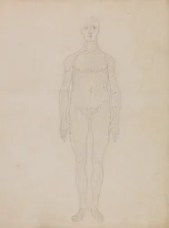 Uma exposição anatómica comparativa da estrutura do corpo humano com a de um tigre e de uma ave comum: Estudo da Figura Humana, Vista Anterior (Provavelmente relacionado com a Tabela XI)