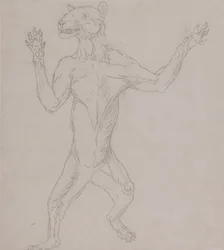 Uma exposição anatómica comparativa da estrutura do corpo humano com a de um tigre e de uma ave comum:  Corpo de tigre, em pé, em postura humana