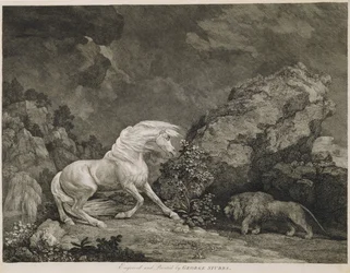 Um cavalo assustado por um leão, gravado pelo artista