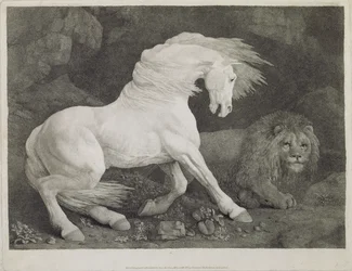 Um cavalo assediado por um leão, gravado pelo artista, bar. 1788