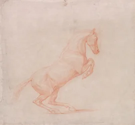 Um Cavalo de Prancha, Virado para a Direita