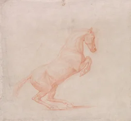 Um cavalo empinado, virado para a direita