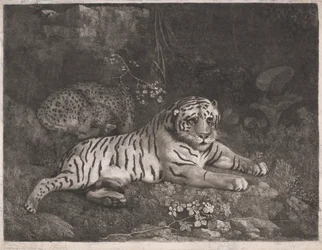 Um Tigre e um Leopardo Adormecido