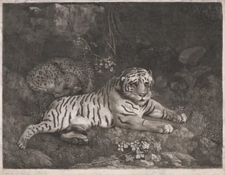 Um tigre e um leopardo adormecido