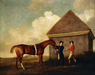 «Eclipse», um cavalo de corrida alazão-escuro seguro por um tratador, com um jóquei, possivelmente Jack Oakley, junto à Rubbing Down House em Newmarket, 1770