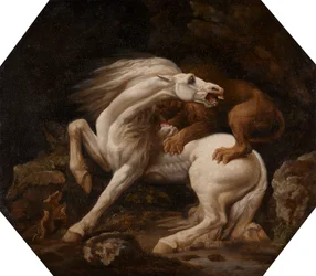 Cavalo atacado por um Leão (Episódio C)