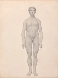 Figura Humana, Vista Anterior, Não Dissecada (Estudo Acabado para o Quadro VI)