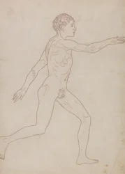 Figura Humana, Vista Lateral (Esboço de Estudo no Verso da Tabela VIII)