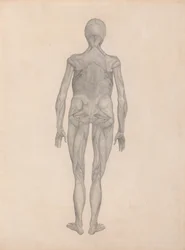 Figura Humana, Vista Posterior (Estudo Acabado para uma Placa Não Publicada)