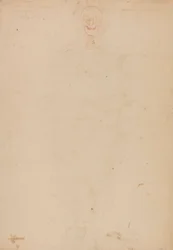 Esqueleto Humano, Vista Anterior