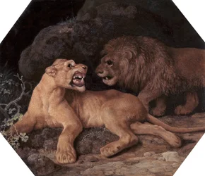 Leão e Leoa, 1770.