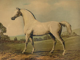 Mambrino. Produzido por Lord Grosvenor, c1770s, c1879.