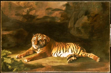 Retrato do tigre real, c. 1770