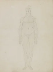 Estudo da Figura Humana, Vista Anterior, de &39;Uma exposição anatômica comparativa da estrutura do corpo humano com a de um tigre e uma ave comum&39;