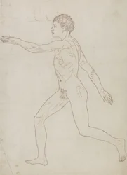 Estudo da figura humana, vista lateral, de &39;Uma exposição anatômica comparativa da estrutura do corpo humano com a de um tigre e uma ave comum&39;, c.1795-1806 (grafite sobre papel)