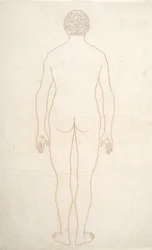 Estudo da figura humana, visão posterior, de uma exposição anatômica comparativa da estrutura do corpo humano com a de um tigre e uma ave comum, c.1795-1806 (tinta sobre papel)