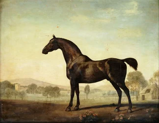 Sweetwilliam ", um cavalo de corrida da baía, em um piquete, 1779