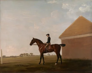 Turf, com Jockey up, em Newmarket, ca. 1766.