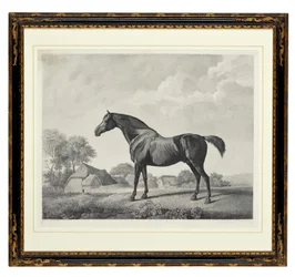 Sweetbrier (gravura pontilhada)
