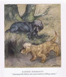 Dandie Dimonts (litografia a cores)