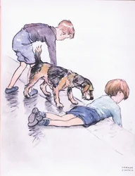 Pesca, do cais, de Mudlarks publicado por Collins