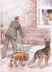 Os spaniels estavam a pingar lama e lodo, de Pets Limited publicado por Collins