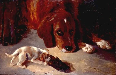 Um Cachorro Inquisitivo (tábua)