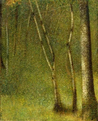 A floresta em Pontaubert, 1881