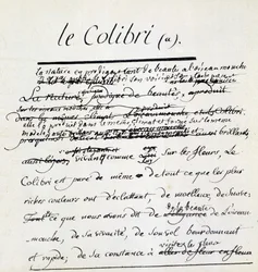 Manuscrito do beija-flor no Hummingbird. Sd. Século XVIII