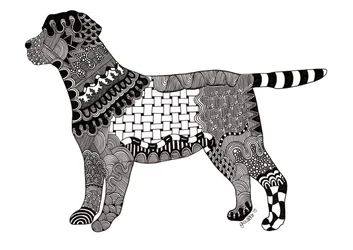 Labrador, 2015 (tinta sobre cartão de bristol)