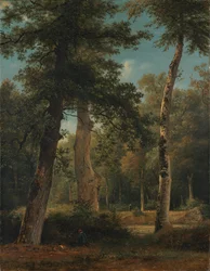 Uma floresta em Fontainebleau