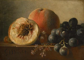 Frutos