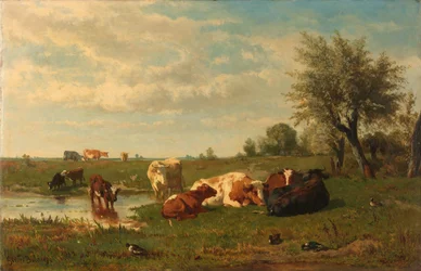 Vacas no Prado