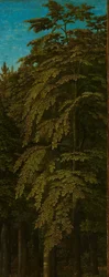 Vista numa floresta, ala exterior direita de um tríptico