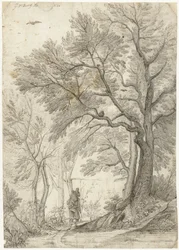 Floresta da Villa Madama fora de Roma