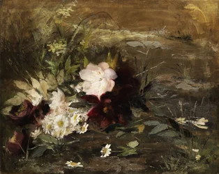 Holandês: Flores de Seerosen e margaridas na costa