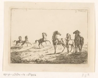 Rebanho de cavalos selvagens Cavalos em liberdade